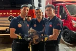 Otomobilin motoruna sıkışan yavru köpeği itfaiye kurtardı 