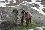 Pancar toplamak için dağ bayır demeden geziyorlar