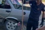 Park halindeki otomobile giren yılan paniğe neden oldu 