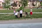 Parkta dolaştırılan köpeğe saldıran başıboş köpek, doktor tarafından etkisiz hale getirildi