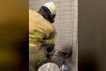 Petrol istasyonuna giren 2,5 metre uzunluğunda yılan yakalandı