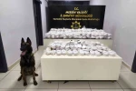 Piyasa değeri 13 milyon 960 bin lira olan 3 kilo 490 gram kokain ele geçirildi