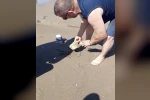Plajda görülen yılan vatandaşlara panik yaşattı