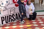 Pursaklar’da öğrencilerden kedi evine ziyaret 
