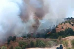 Pütürge’de orman ve örtü yangını kontrol altına alındı