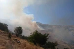 Pütürge’deki arazi yangınına müdahale sürüyor