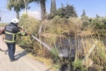 Reyhanlı’da zeytinlik alandan alevler yükseldi 