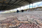 Romalıların antik kenti Pompeiopolis sanatla buluşacak