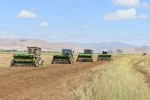 Rüştü köyünde suni mera tesisi oluşturuldu