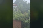 Safranbolu’da karganın "Allah" diye ses çıkardığı anlar kameraya yansıdı