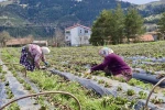 Samsun’da 14 bin 358 üreticiye destek 