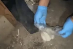Samsun’da uyuşturucu operasyonu