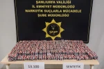 Şanlıurfa’da 13 bin uyuşturucu hap ele geçirildi