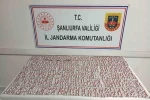 Şanlıurfa’da 2 bin 128 uyuşturucu hap ele geçirildi