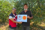 Şaphane Vişnesi için tescil çalışmaları sürüyor