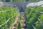 Seraları uyuşturucu üretim tesisine çeviren şahıslara operasyon 