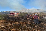 Serik’te makilik ve zeytinlik alanda çıkan yangın 1 saatte kontrol altına alındı