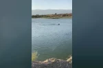 Serinlemek için girdiği göletten cansız bedeni çıktı