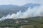 Seydikemer’de orman yangını