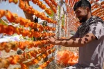 Sıcak hava en çok onlara yaradı: Kurutmalık sezonu başladı