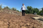 Sıfır kimyasal sıfır maliyet: Bedava hayvansal gübreyle üretim yapıyor