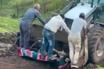Siirt’te kaybolan büyükbaş hayvan çamura saplanmış halde bulundu 