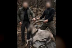 Siirt’te koruma altındaki 5 yaban keçisini avlayanlara ceza