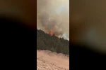 Sındırgı’da orman yangınına havadan ve karadan müdahale sürüyor 
