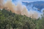Sındırgı’daki yangın Kütahya’ya doğru ilerliyor...Hummalı müdahale sürüyor 