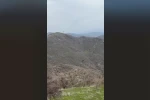 Şırnak’ta kartalın domuz avı kamerada 