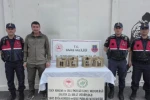 Sivas’ta usulsüz ele geçirilen 4 keklik doğaya salındı 