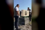 Sivas’ta yuvadan düşen iki kerkenez yavrusu doğaya bırakıldı 