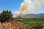 Söke’de zirai alanda yangın 