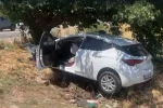 Sollama yaparken ağaca çarptı: 4 ağır yaralı 