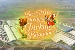 Suluova Besi OTB’de 15 bin 650 büyükbaş kapasite, bin 500 kişiye istihdam 