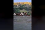 Sürü halinde suya girdiler, Kelkit Çayı’nı yüzerek geçtiler