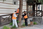 Talas’tan çevre dostu ilaçlama atağı 
