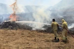 Tarla temizliği için yakılan ateş ormanlık alana sıçradı 