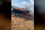 Tarsus’ta saman balyaları alevlere teslim oldu 