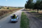 Tekirdağ il genelinde vektörlere karşı mücadele çalışmaları