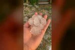 Tekirdağ’da dolu ayçiçeği ve karpuz tarlalarını vurdu
