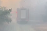 Tepebaşı’ndaki orman yangınında yanmak üzere olan kaplumbağa kurtarıldı