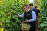 Tescilli Pazaryeri Boncuk Fasulyesi’nde hasat sezonu başladı