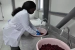 TOGÜ Çiftlik Tarım Ürünleri Kurutma Tesisi üretim ve eğitimi bir araya getiriyor 
