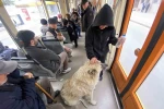 Tramvaya binen sevimli köpek ilgi odağı oldu 