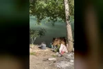 Tunceli’de bozayı piknikçilerin sofrasına misafir oldu 