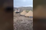 Tunceli’de yüksek rakımda sağanak etkili oldu: Yaylacılar zor anlar yaşadı