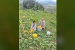 Türkeli’de küçük üretim, büyük ürün verdi