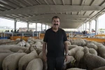TÜRKYED Genel Başkanı Çelik: "Vatandaşlarımız vekalet verdiği kurumun kurban kesimini İslami usullere uygun gerçekleştirdiğinden emin olmalıdır" 