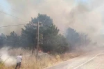 Üç ayrı yangında bin dönümden fazla arazi zarar gördü